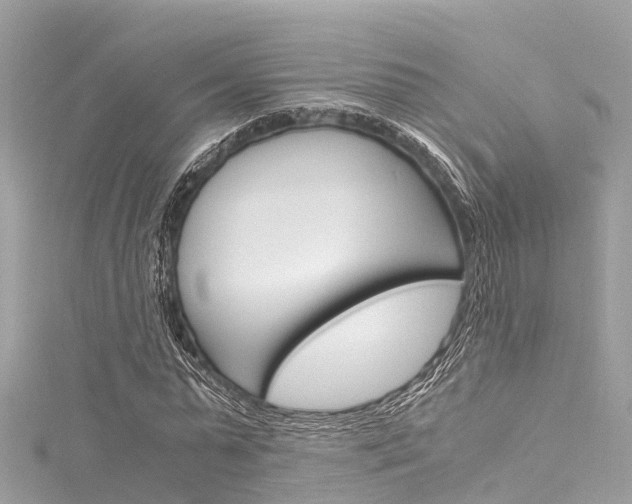 X0000116050775200911201042