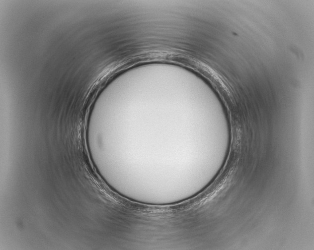 X0000116050778200911201042