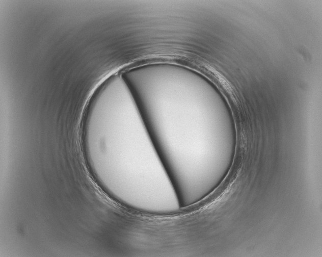 X0000116050779200911201042