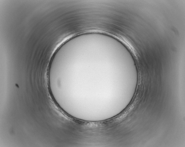 X0000116050806200911201041