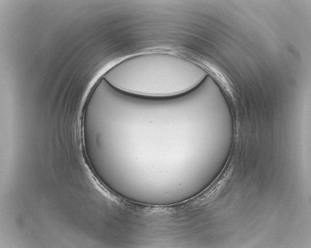 X0000116050808200911201041