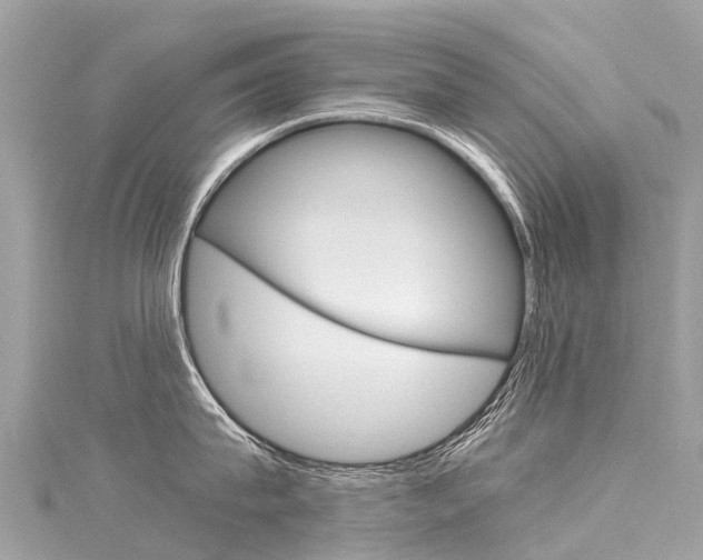 X0000116050815200911201041