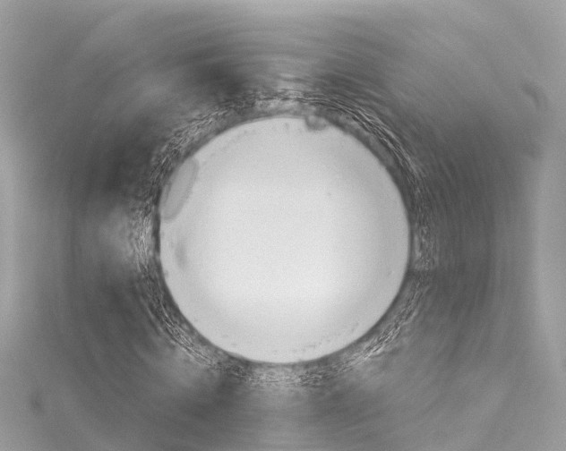 X0000116050820200911201041