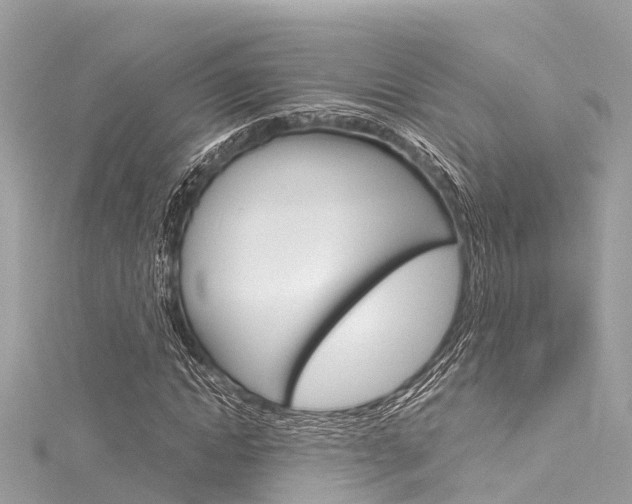 X0000116050822200911201041