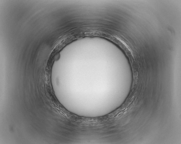 X0000116050823200911201041