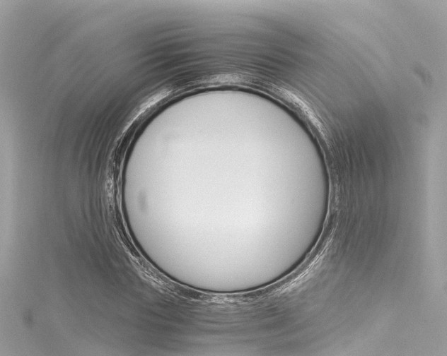 X0000116050827200911201041