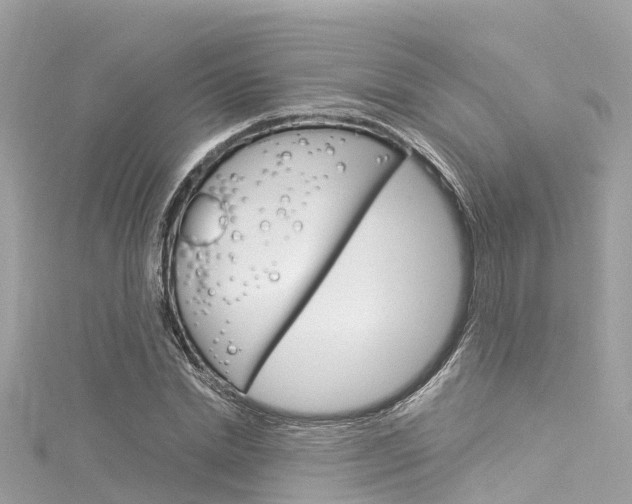 X0000116050830200911201041