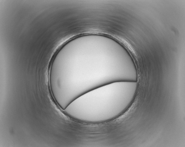 X0000116050839200911201041