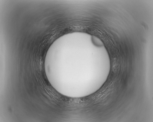 X0000116050866200911201040