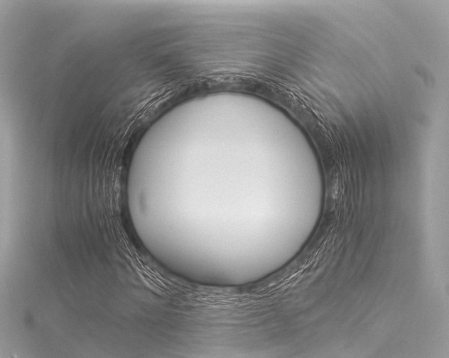 X0000116050868200911201040