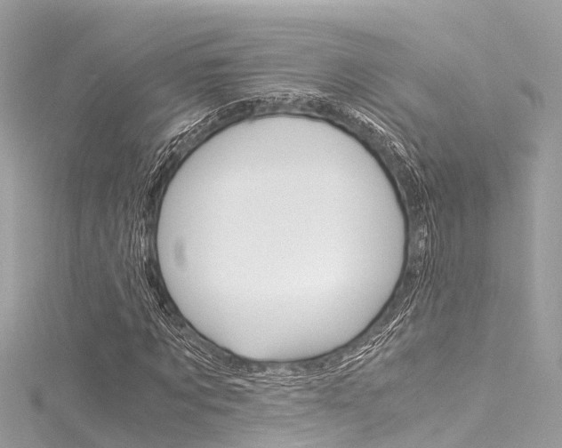 X0000116050869200911201040