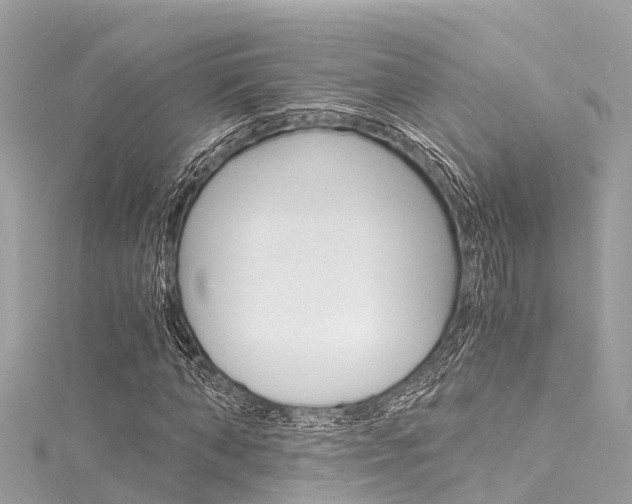 X0000116050870200911201040