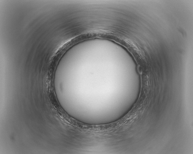 X0000116050872200911201040