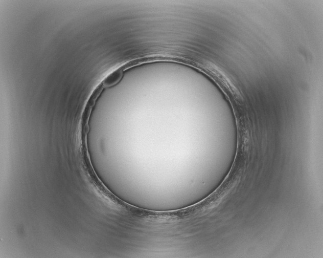 X0000116050884200911201040