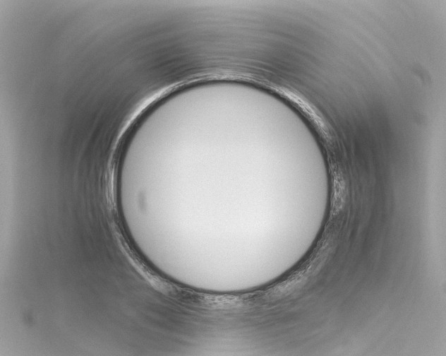 X0000116050886200911201040