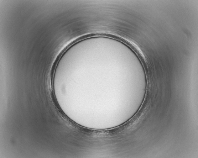 X0000116050887200911201040