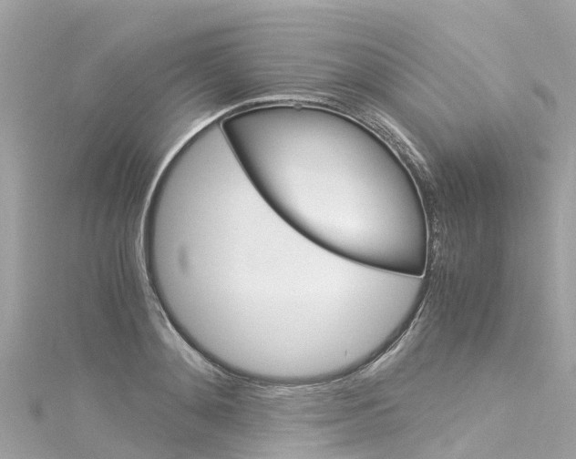 X0000116050892200911201040