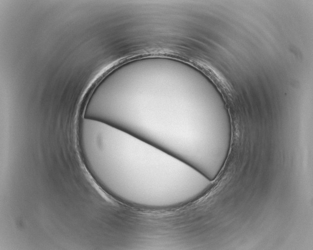 X0000116050894200911201040