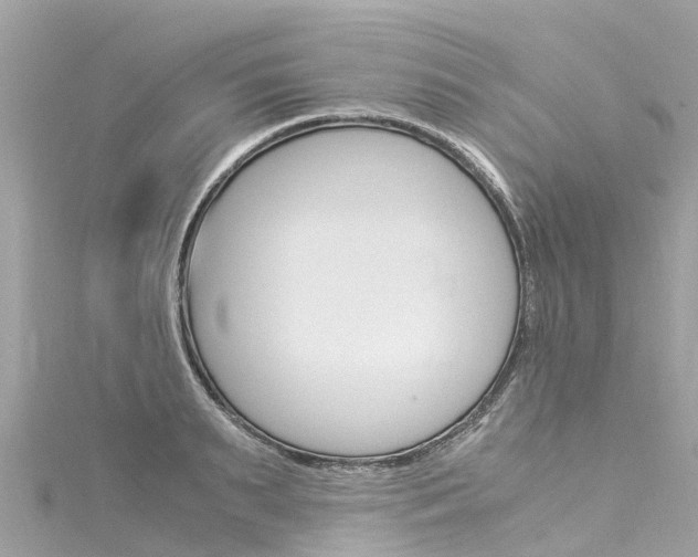 X0000116050895200911201040