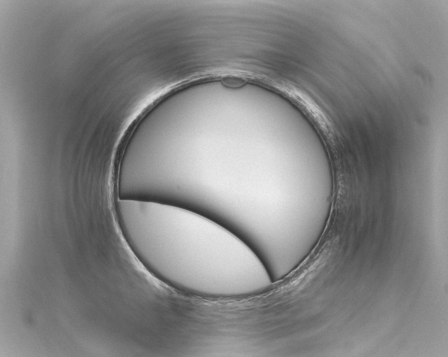 X0000116050902200911201040