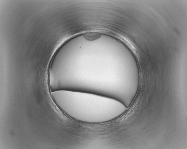 X0000116050907200911201040