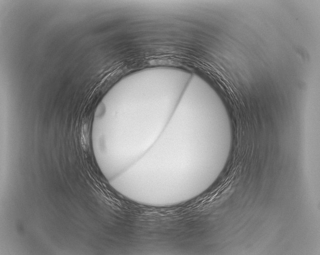 X0000116050915200911201039