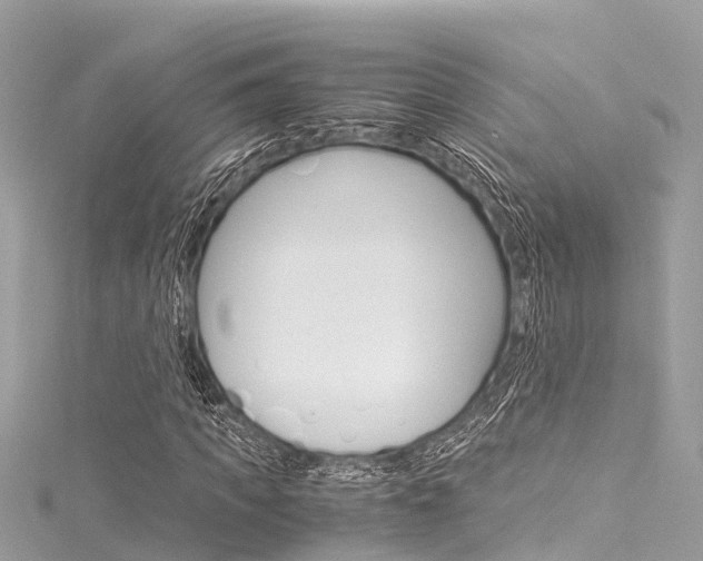 X0000116050917200911201039