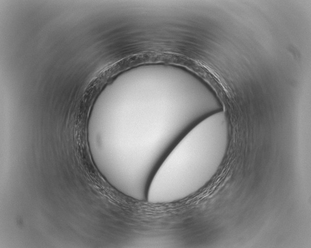 X0000116050919200911201039