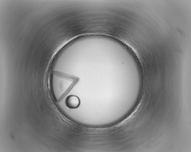 X0000116050925200911201039