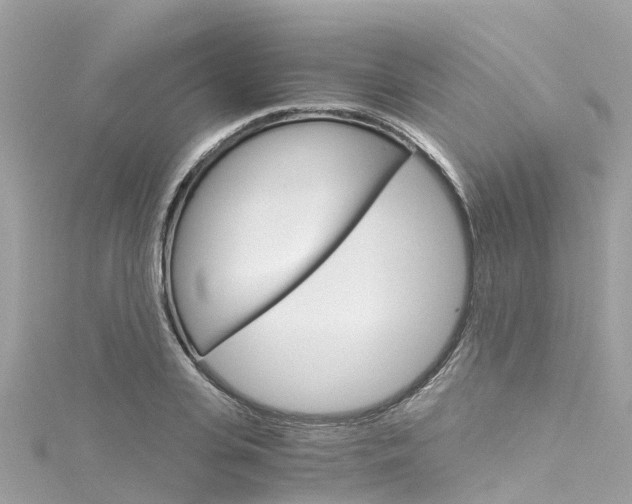 X0000116050935200911201040