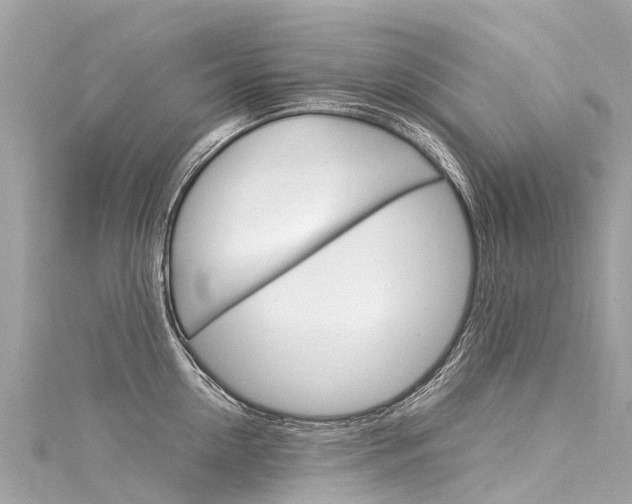 X0000116050954200911201040