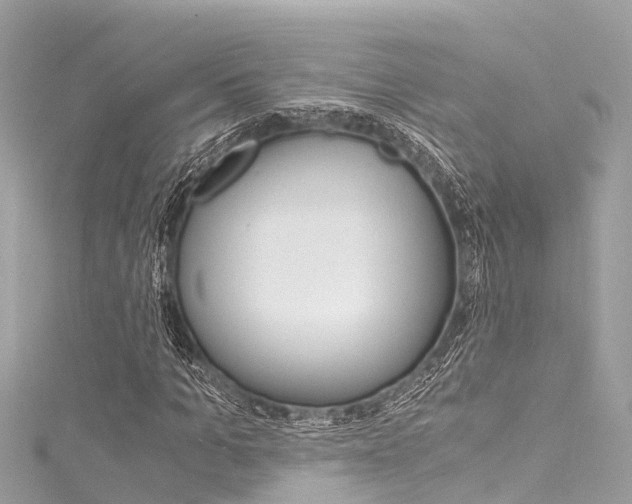 X0000116050965200911201039