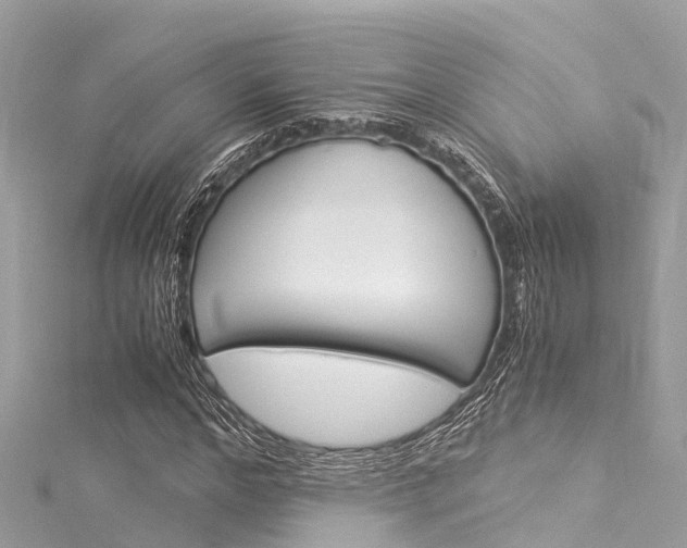 X0000116050968200911201039