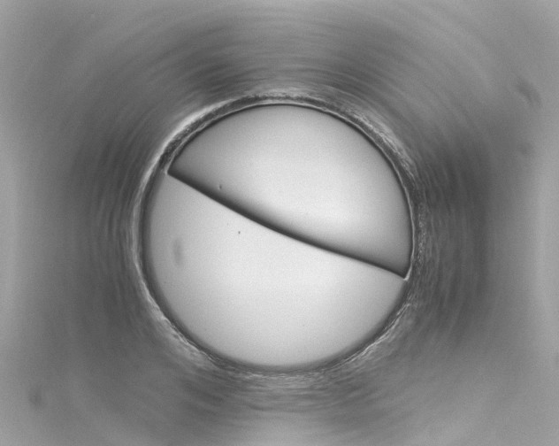 X0000116050984200911201039