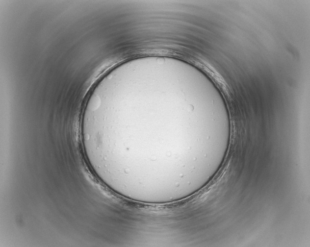 X0000116050994200911201039