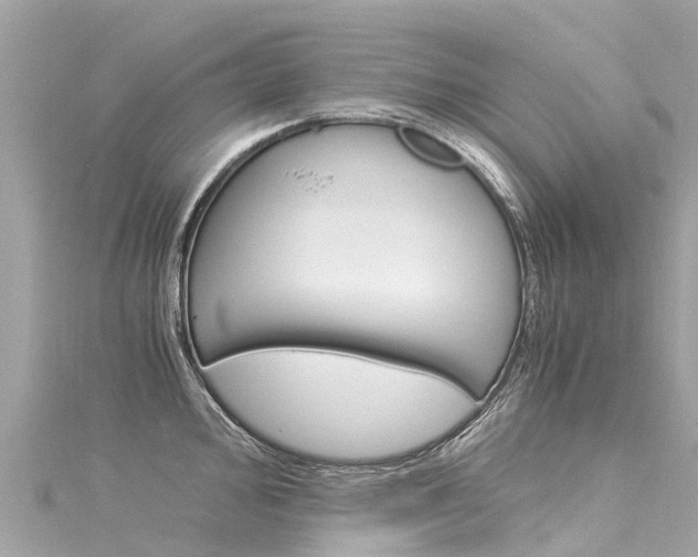 X0000116051000200911201039