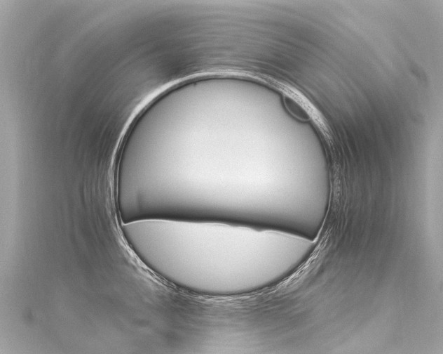X0000116051004200911201039