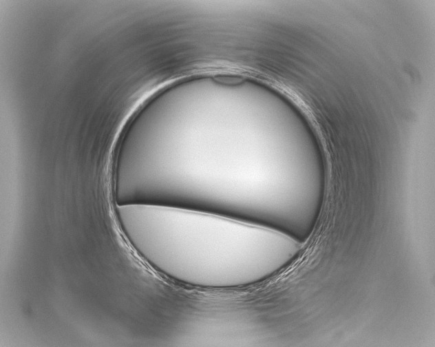 X0000116051008200911201039