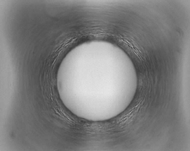 X0000116051009200911201038