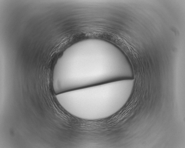 X0000116051012200911201038