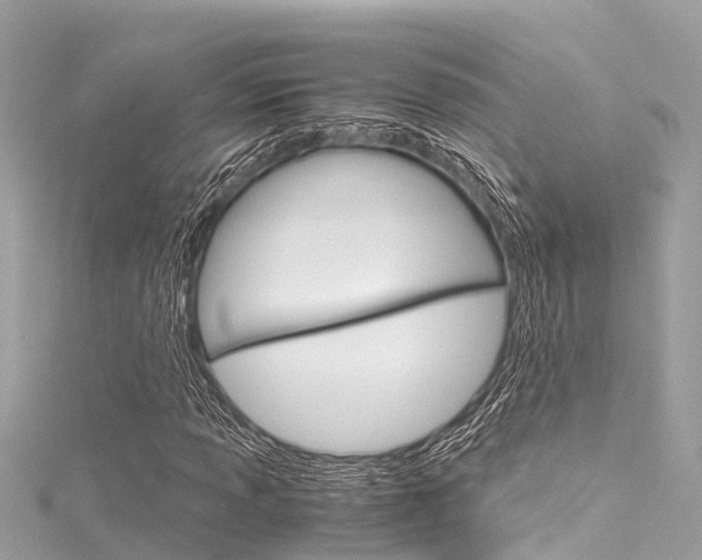 X0000116051013200911201038
