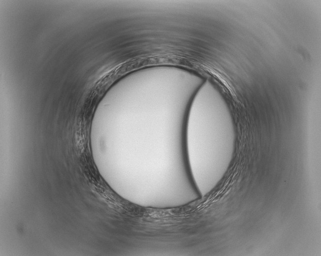 X0000116051015200911201038