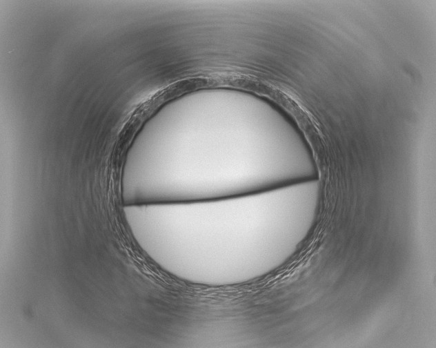 X0000116051016200911201038