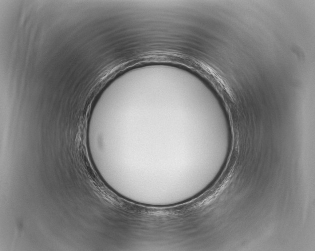 X0000116051017200911201038