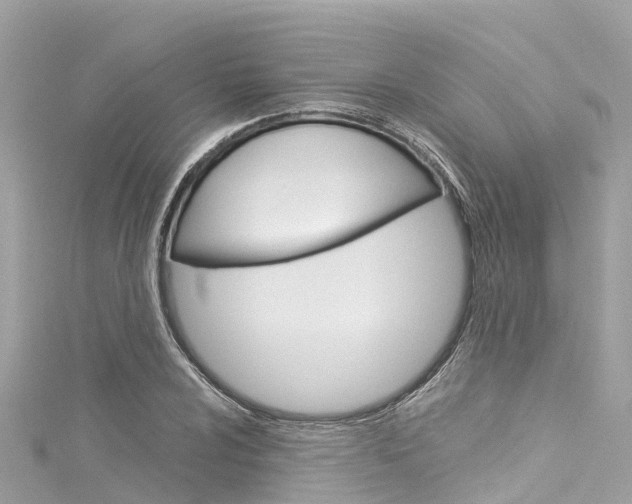 X0000116051024200911201038