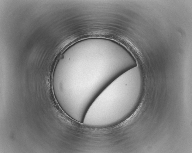 X0000116051025200911201038