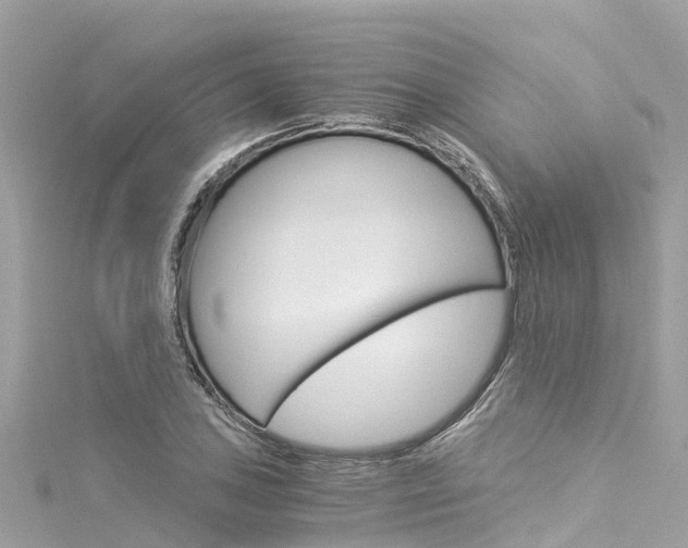 X0000116051027200911201038