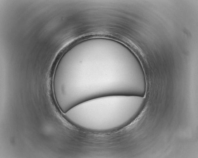 X0000116051029200911201038