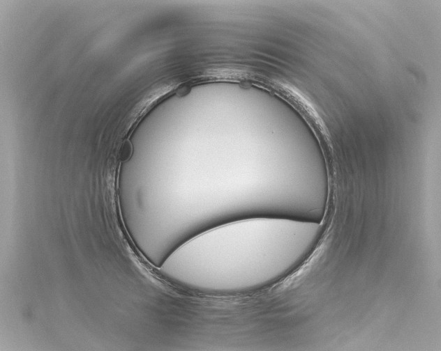 X0000116051041200911201038