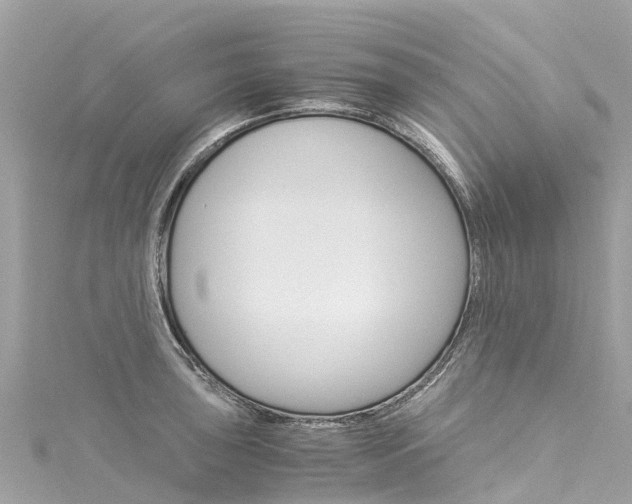 X0000116051043200911201038